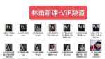 林雨新课VIP频道,玩赚私域/朋友圈/社群-网创指引人