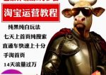 猫老师·淘系算法逆向解密,纯黑纯白玩法,七天上首页纯搜索,手淘首页14天流量过万-网创指引人