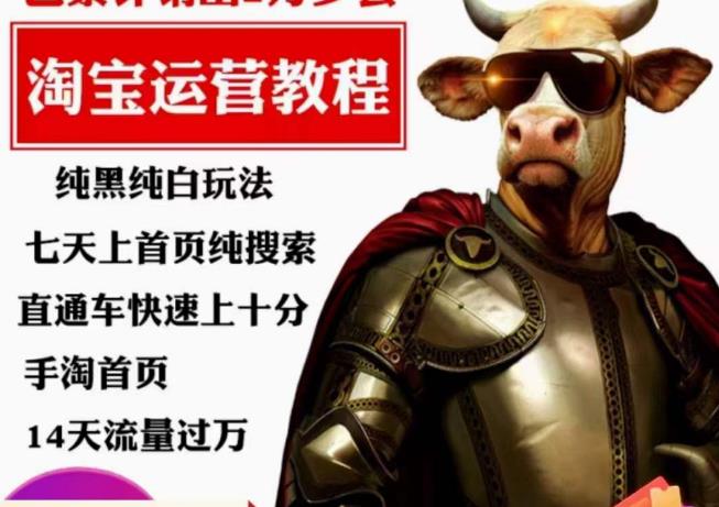 猫老师·淘系算法逆向解密,纯黑纯白玩法,七天上首页纯搜索,手淘首页14天流量过万