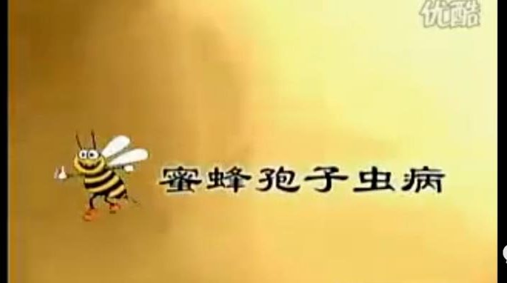 东哲日记:全网首创实物虚拟电商项目,速来捡钱,成本低,一单赚几十块!