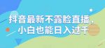 抖音最新不露脸直播,小白也能日入过千-网创指引人