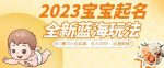 2023宝宝起名全新蓝海玩法,冷门暴力小白实操,日入1000+(全套教程)【揭秘】