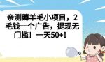 亲测薅羊毛小项目,2毛钱一个广告,提现无门槛!一天50+【揭秘】-网创指引人