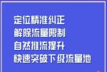 同城账号付费投放运营优化提升,定位精准纠正,解除流量限制,自然推流提升,极速突破下级流量池-网创指引人