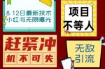 小红书8月最新技术无限曝光亲测单账号日引流精准粉100+轻松无压力(脚本+教程)-网创指引人
