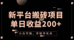 2023新平台搬砖项目,单日收益200+,小白可做,早做早吃肉-网创指引人