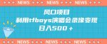 风口项目,利用tfboys演唱会录像变现,日入500+-网创指引人