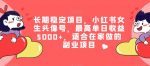 长期稳定项目,小红书女生头像号,最高单日收益5000+,适合在家做的副业项目-网创指引人