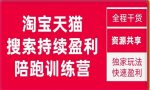 2023未见【無山】淘宝天猫搜索持续盈利陪跑训练营，独家玩法，快速盈利-网创指引人