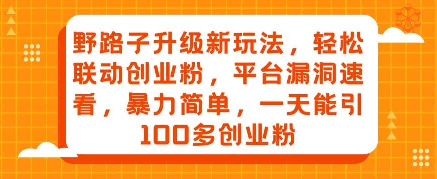 野路子升级新玩法,轻松联动创业粉,平台漏洞速看,暴力简单,一天能引100多创业粉