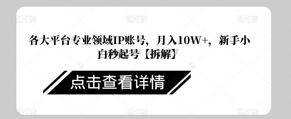 各大平台专业领域IP账号,月入10W+,新手小白秒起号【拆解】