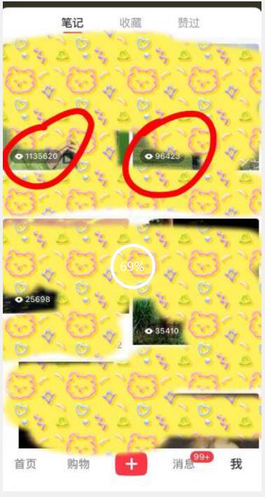 长期稳定项目,小红书女生头像号,最高单日收益5000+,适合在家做的副业项目