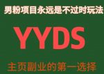 YYDS男粉项目永远是不过时玩法，主业副业的第一选择【揭秘】-网创指引人