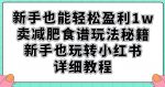 新手也能轻松盈利1w,卖减肥食谱玩法秘籍,新手也玩转小红书详细教程【揭秘】-网创指引人