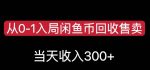 从0-1入局闲鱼币回收售卖,当天变现300,简单无脑【揭秘】-网创指引人