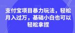 支付宝项目暴力玩法,轻松月入过万,基础小白也可以轻松拿捏【揭秘】-网创指引人