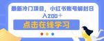 最新冷门项目,小红书账号解封日入200+【揭秘】-网创指引人