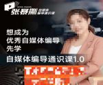 张暴撕【搞定流量】编导思维必修课,想成为优秀自媒体编导先学自媒体编导通识课1.0-网创指引人