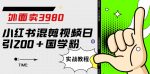 外面卖3980小红书混剪视频日引200+国学粉实战教程【揭秘】-网创指引人