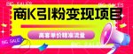 商K引粉变现项目,高客单价精准流量【揭秘】-网创指引人
