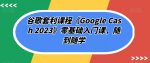 谷歌套利课程《Google Cash 2023》零基础入门课,随到随学-网创指引人
