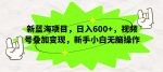 新蓝海项目,日入600+,视频号叠加变现,新手小白无脑操作【揭秘】-网创指引人