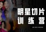 王子·明星切片线上训练营(2023),和明星一起拿红利,让明星为我们赚钱-网创指引人