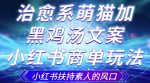 治愈系萌猫加+黑鸡汤文案,小红书商单玩法,3~10天涨到1000粉,一单200左右-网创指引人