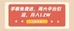 手表免费送,两大平台引流,月入1.2W【揭秘】-网创指引人
