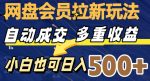 网盘会员拉新玩法,自动成交,多重收益,小白也可日入500+-网创指引人