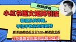 2023年最强小红书图文矩阵玩法,新手小白也能轻松日引100+精准创业粉,纯实操教学,不容错过!