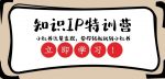 知识IP特训营 :小红书-流量变现,带你轻松玩转小红书(23节视频课)-网创指引人