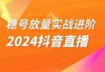稳号放量实战进阶—2024抖音直播,直播间精细化运营的几大步骤-网创指引人