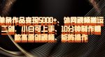 单条作品变现5000+、外网视频搬运二创,小白可上手,10分钟制作爆款高原创视频,矩阵操作【揭秘】-网创指引人