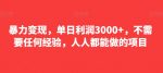 暴力变现，单日利润3000+，不需要任何经验，人人都能做的项目-网创指引人