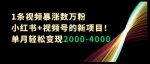1条视频暴涨数万粉–小红书+视频号的新项目!单月轻松变现2000-4000【揭秘】-网创指引人
