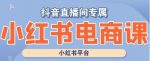 小红书电商高级运营课程，实操教学+案例分析-网创指引人