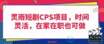 灵雨短剧CPS项目，时间灵活，在家在职也可做