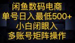 闲鱼数码电商,单号日入最低500+,小白闭眼入,多账号矩阵操作-网创指引人