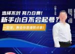 大左教您从0到1做直播带货,选择不对,努力白费,5小时课程搞定那点事,解决你起号问题-网创指引人