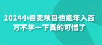 2024小白卖项目也能年入百万不学一下真的可惜了-网创指引人