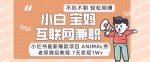 小红书最新爆款项目Animal秀,老保姆级教程,7天变现1w+【揭秘】-网创指引人