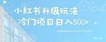小红书升级玩法,冷门暴利项目无门槛操作,轻松日赚500+-网创指引人