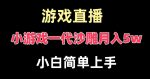 玩小游戏一代沙雕月入5w,爆裂变现,快速拿结果,高级保姆式教学【揭秘】-网创指引人