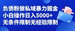 负债粉私域暴力掘金,小白操作入5000,无经验限制,无条件限制【揭秘】-网创指引人