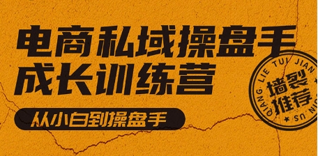 电商私域操盘手成长训练营(自学班),从小白到操盘手