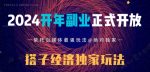 2024开年副业搭子全套玩法正式开启,经历漫长的20几天,已经拿到结果!-网创指引人