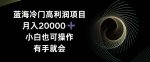 蓝海冷门高利润项目月入2000，小白也可操作有手就会-网创指引人