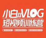 小呆说视–小白VLOG短视频训练营,学会带货、好物、直播、中视频-网创指引人