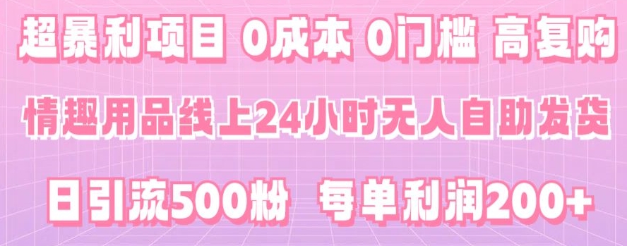 超暴利项目,情趣用品线上24小时-无人自助发货,0成本,0门槛,高复购